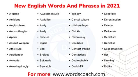 nueva in english|Nueva .